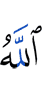 Allah (has)