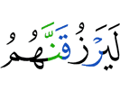 surely, Allah will provide them