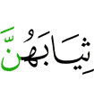 their (outer) garments,