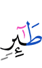 a bird