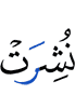 are laid open,