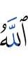 but Allah refuses
